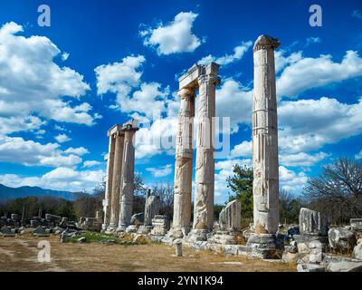 The ruins of Aphrodisias Ancient city (Afrodisias) in Turkey. The old city was named after Aphrodite, the Greek goddess of love. Stock Photo