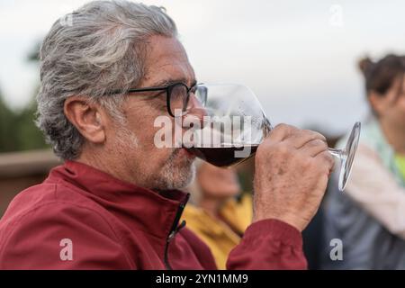 Profile portrait of mature man with gray hair and glasses professionally tasting red wine outdoors. Natural moment showing wine appreciation and exper Stock Photo