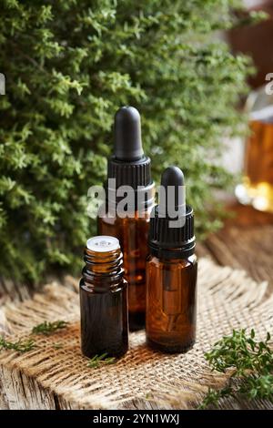 Three brown bottles of aromatherapy essential oil with fresh thyme Stock Photo