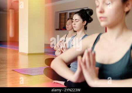 A group of young women doing yoga indoors. Three women in a row, located deep into the hall. Tint and close up. Stock Photo