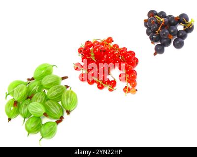 Heaps of berry mix- red and black currant, gooseberry. Isolated. Stock Photo