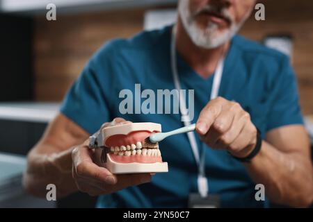 Dentist demonstrating proper brushing technique on a dental model Stock ...