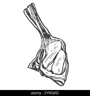 steak tomahawk, Raw fresh meat cut from beef, lamb and pork. Vector Hand drawn outline illustration for meat shop, Butchery, market, barbecue, grill, Stock Vector