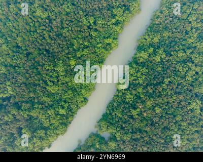 Bird's Eye View of The Sundarbans Mangrove Forest in Khulna Division, Bangladesh Stock Photo