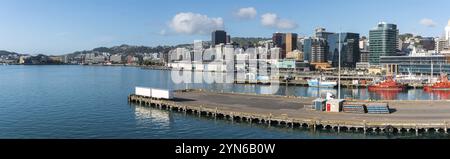 Wellington, New Zealand, 23 December, 2024. Molly Penfold of New ...