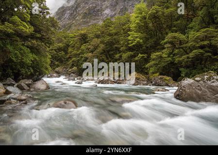 Mountainous Monkey creek flowing through impressive landscape next to Milford Sound highway, South Island of New Zealand Stock Photo