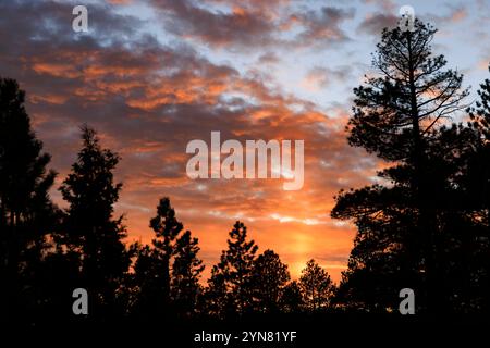 This a view of a blazing sunset over the trees in the Sunrise Point area of Bryce Canyon National Park, Bryce Canyon City, Garfield County, Utah, USA. Stock Photo
