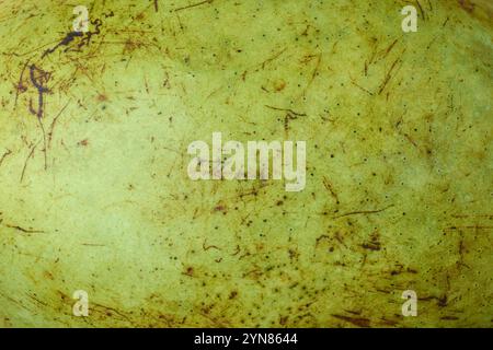 close-up macro view of yellow green tropical fruit skin background texture, smooth surface with brown patches and spots, natural organic background Stock Photo