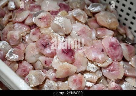 Non Exclusive: ZAPORIZHZHIA, UKRAINE - NOVEMBER 20, 2024 - Seafood is at a processing production complex in Zaporizhzhia, southestern Ukraine. Stock Photo