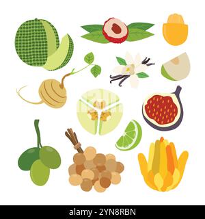 A Diverse Selection of Delicious Fresh Fruits Stock Vector