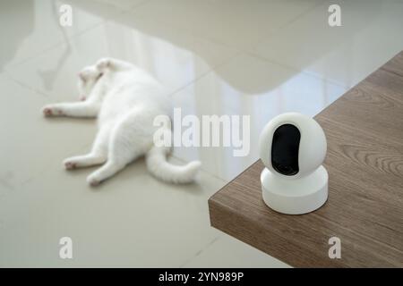 home security camera Smart CCTV cameras detect your beloved cat for safety. Stock Photo