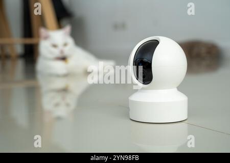 home security camera Smart CCTV cameras detect your beloved cat for safety. Stock Photo