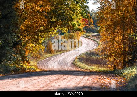 Winding road curves through scenic autumn foliage trees in Latvia Stock Photo