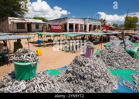 Fish caught in Lake Malawi, on drying racks, Cape Maclear, Malawi Stock Photo