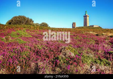 France, Cotes d'Armor, Plevenon, Grand Site de France Cap d'Erquy - Cap Frehel, ash heather moor and gorse moor at the foot of the Cap Frehel lighthouse (1950) and the Vauban lighthouse (1702), on the edge of the GR34 long-distance hiking trail or customs officers' path Stock Photo