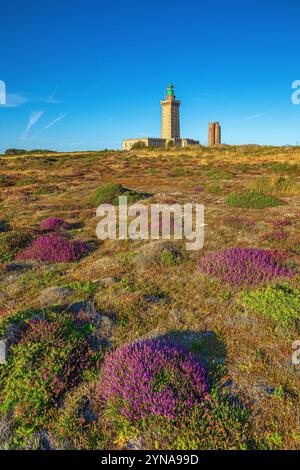 France, Cotes d'Armor, Plevenon, Grand Site de France Cap d'Erquy - Cap Frehel, ash heather moorland at the foot of the Cap Frehel lighthouse (1950) and the Vauban lighthouse (1702), on the edge of the GR34 long-distance hiking trail or customs officers' path Stock Photo