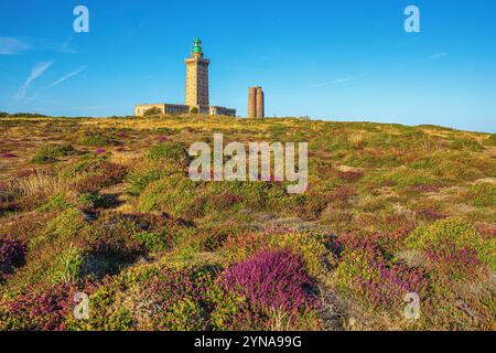 France, Cotes d'Armor, Plevenon, Grand Site de France Cap d'Erquy - Cap Frehel, ash heather moorland at the foot of the Cap Frehel lighthouse (1950) and the Vauban lighthouse (1702), on the edge of the GR34 long-distance hiking trail or customs officers' path Stock Photo