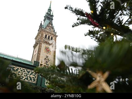 Hamburg, Germany. 25th Nov, 2024. The Hamburg City Hall building can be seen in the background of a blurred Christmas tree. The Christmas market on Hamburg's Rathausmarkt was officially opened on Monday. Credit: Niklas Graeber/dpa/Alamy Live News Stock Photo