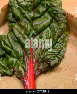 Swiss Chard, silverbeet, perpetual spinach, spinach beet, crab beet, bright lights, seakale beet, and Mangold Stock Photo