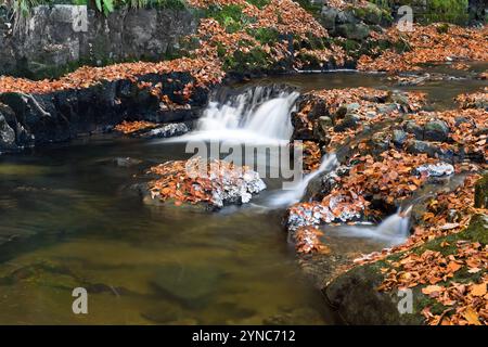A partly frozen Bowlees Beck (Bow Lee Beck) in late autumn, Bowlees, Teesdale, County Durham, UK Stock Photo