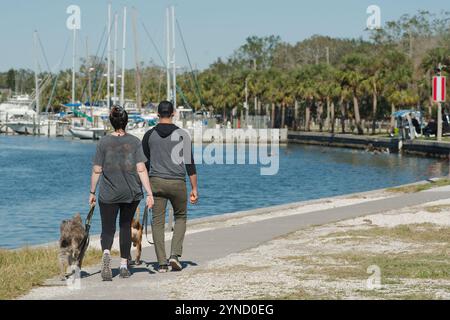 Couple man and woman walking away on left side sidewalk leading lines sea wall towards Gulfport Florida Marina on a sunny day.  Palm trees on right ca Stock Photo