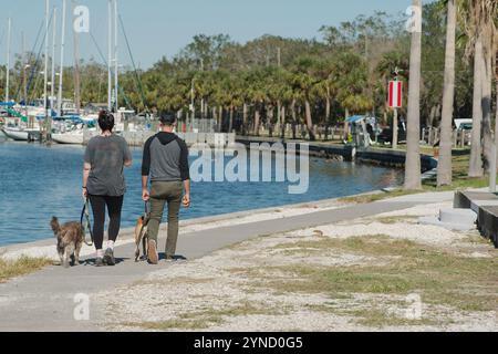 Couple man and woman walking away on left side sidewalk leading lines sea wall towards Gulfport Florida Marina on a sunny day.  Palm Walking dog Stock Photo