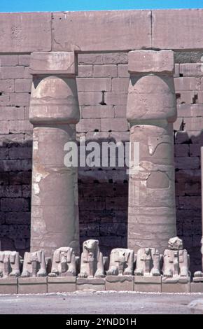 Ram-headed sphinx statues, Karnak Temple Complex, Luxor, Nile Valley, Egypt, September 1989 Stock Photo