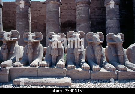 Ram-headed sphinx statues, Karnak Temple Complex, Luxor, Nile Valley, Egypt, September 1989 Stock Photo