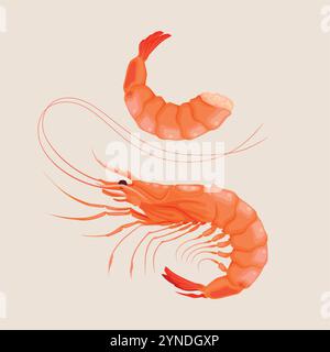 Vector illustration of high detailed shrimp Stock Vector