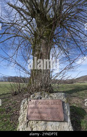 Plaque commemorating the reconciliation of the Franco-Prussian War 1870-1871 in front of a lime tree planted in 1970, Buehl. Middle Franconia, Bavaria Stock Photo