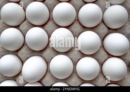 Close up, Top view of a Package Cardboard Egg Holder Egg Tray with eggs Stock Photo
