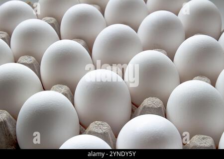 Close up of a Package Cardboard Egg Holder Egg Tray with eggs Stock Photo