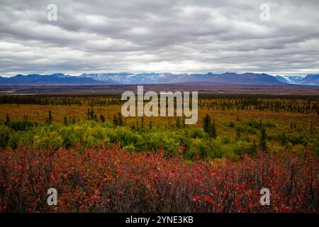 Layers of fall on the Denali Highway Stock Photo