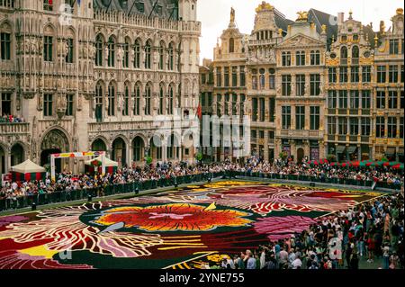 Flower Carpet in Grand Market in Brussels, Belgium Stock Photo