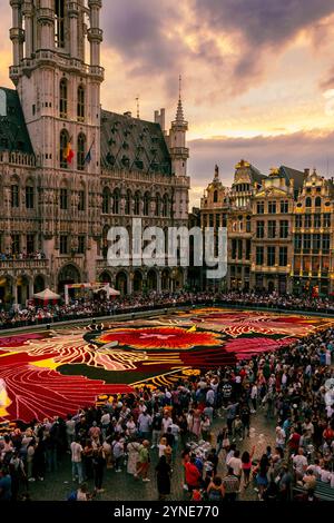 Flower Carpet in Grand Market in Brussels, Belgium Stock Photo