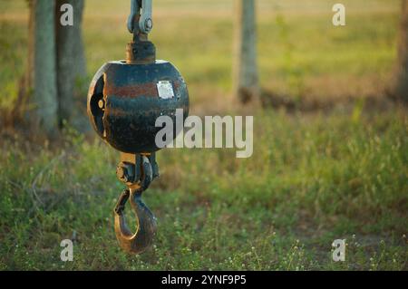 An isolated black crane ball hook hanging from cable attached to a crane. Green grass and trees in the background. Stock Photo