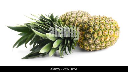 Two fresh ripe pineapples isolated on white Stock Photo