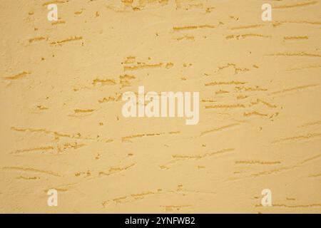 A beautifully textured yellow wall background showcasing subtle striations throughout it Stock Photo