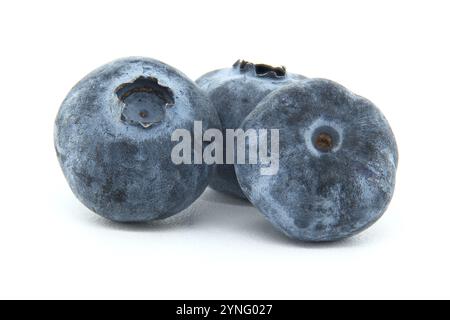Close-up of three fresh blueberries on a white background, showcasing their plump and juicy texture, perfect for healthy eating and natural food photo Stock Photo