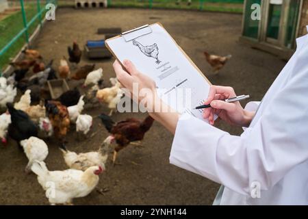 Clipboard with document with picture of chicken in hands of young female veterinarian in lab coat taking notes against poultry Stock Photo