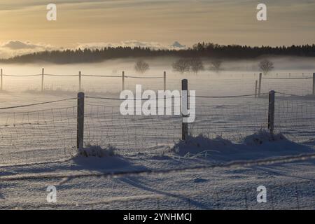 Wintery field landscape Stock Photo