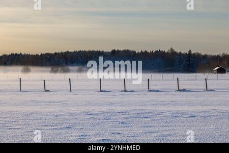 Wintery field landscape Stock Photo