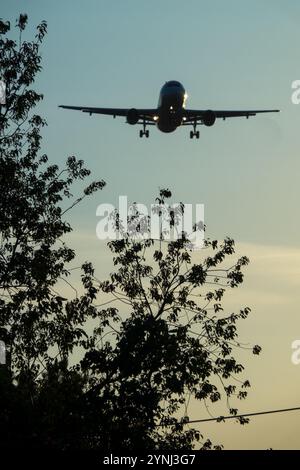 Sunset Plane Sundown Airplane Twilight Aeroplane Dusk Jet Evening At Night Coming Airliner landing over tree Stock Photo