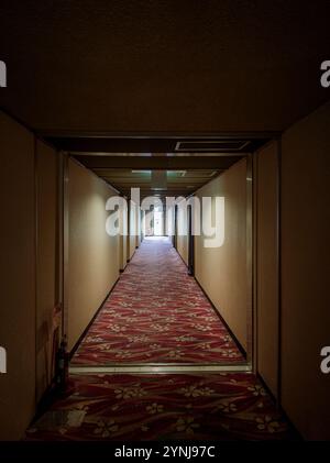 Dimly Lit Hotel Corridor with Patterned Red Carpet and a Brightly Illuminated Exit Door in the Distance Stock Photo