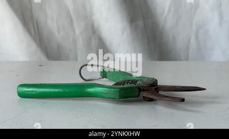Old green scissors rest on a white table, showing wear in a bright setting. Stock Photo