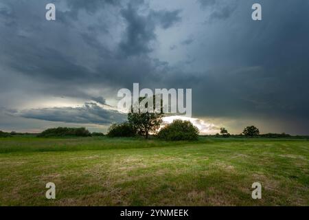 Storm clouds over a meadow with trees, Nowiny, Lubelskie, Poland Stock Photo