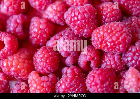 Fresh raspberries – close-up of ripe red berries Stock Photo