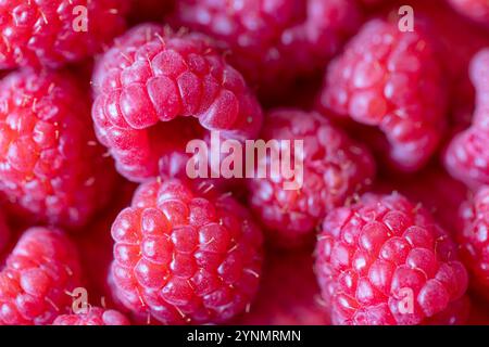 Fresh raspberries – close-up of ripe red berries Stock Photo