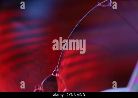 Red reflections of liquid in macro, red liquid panels, bubbles in macro, connection of bubbles in macro, cell from liquid, fluid art Stock Photo