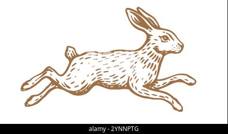 Hare, rabbit sketch. Vintage retro print Stock Vector